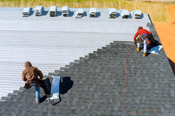 Best Roof Moss and Algae Removal  in Merrionette Park, IL